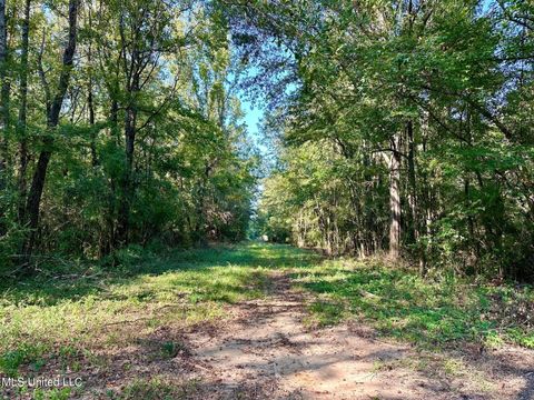 Vacant Land For Sale - TBD NE Williams Street<br/> Brookhaven, MS 39601