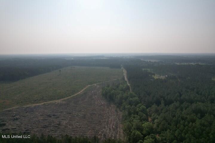 Mink Branch Road, Pelahatchie, Mississippi image 9