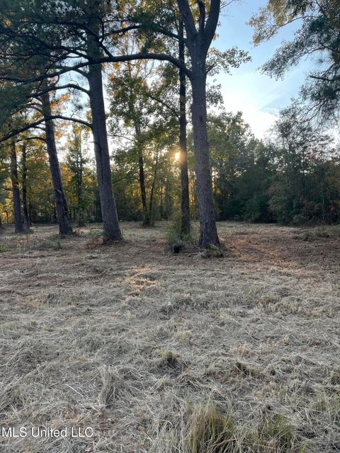 Vacant Land For Sale - 2800 Lake View Road<br/> Forrest County, Hattiesburg, MS 39401