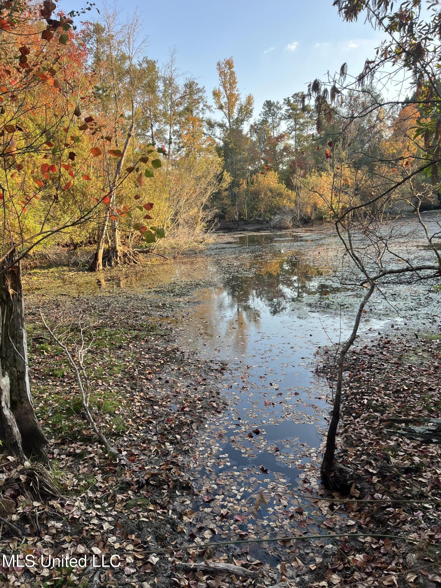 2800 Lake View Road, Hattiesburg, Mississippi image 8