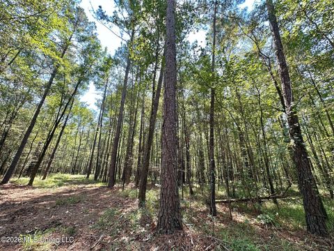 Vacant Land For Sale - 6 Forest Service Road 562<br/> Scott County, Pulaski, MS 39152