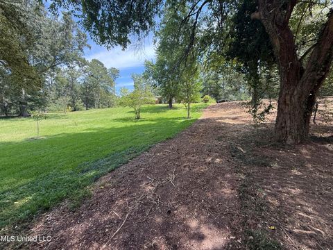 Vacant Land For Sale - 01 35 Highway<br/> Leake County, Carthage, MS 39051