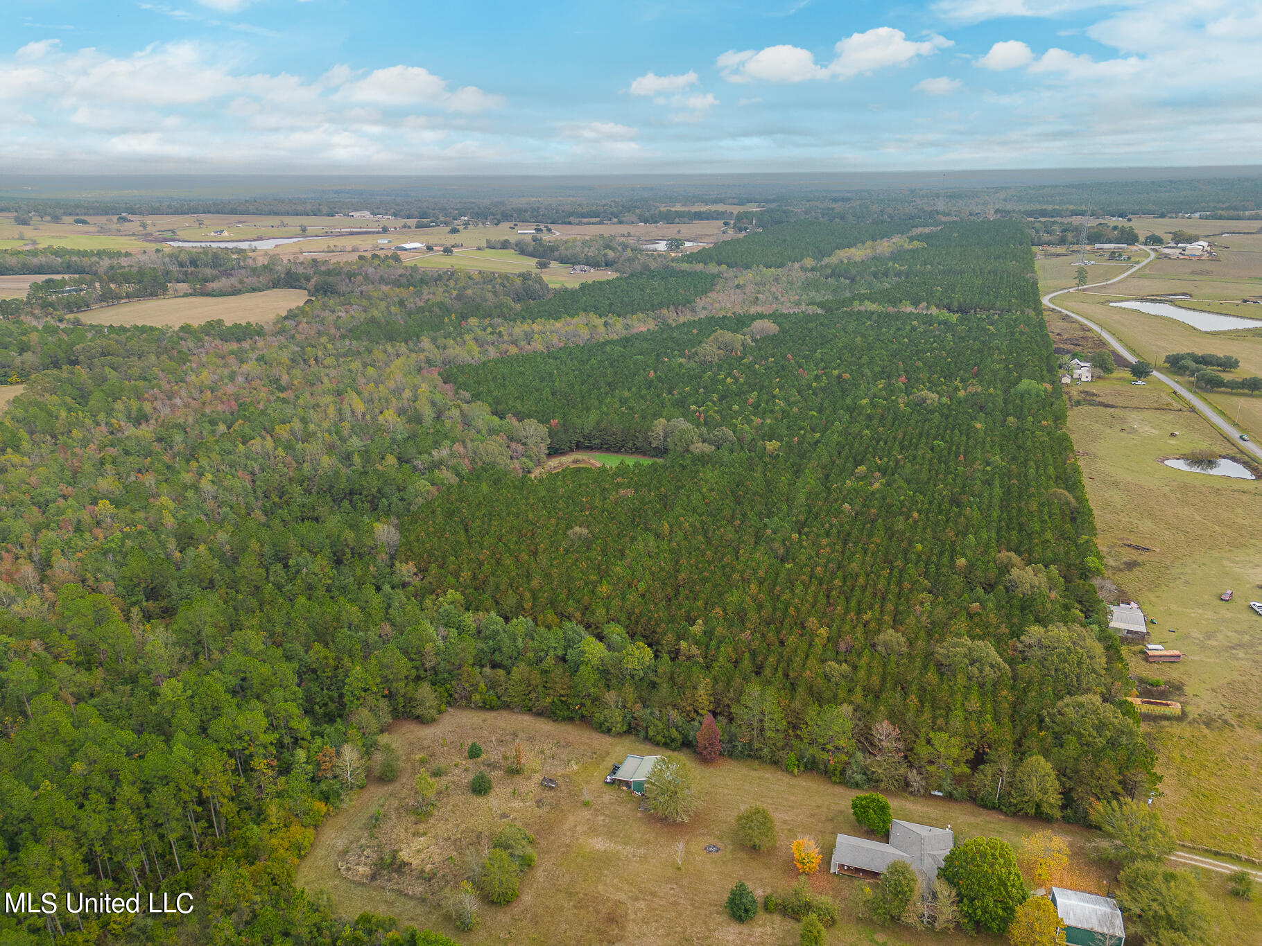 Jordan Road, Perkinston, Mississippi image 7