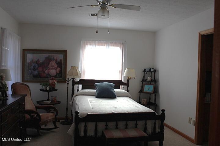 531 Pawnee Way, Madison, Mississippi image 8