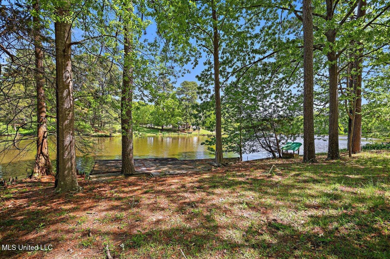 531 Pawnee Way, Madison, Mississippi image 42