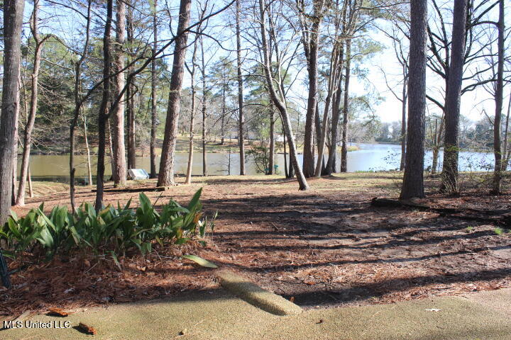 531 Pawnee Way, Madison, Mississippi image 2