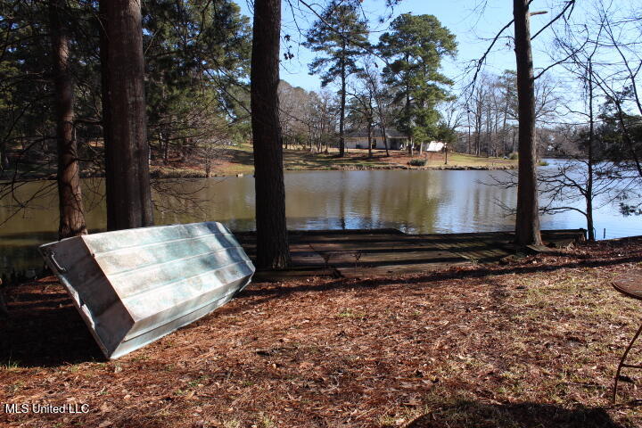 531 Pawnee Way, Madison, Mississippi image 3
