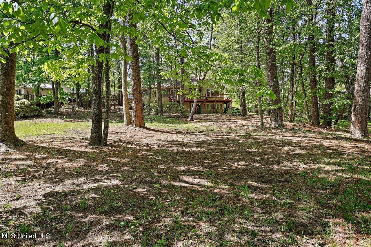 531 Pawnee Way, Madison, Mississippi image 45