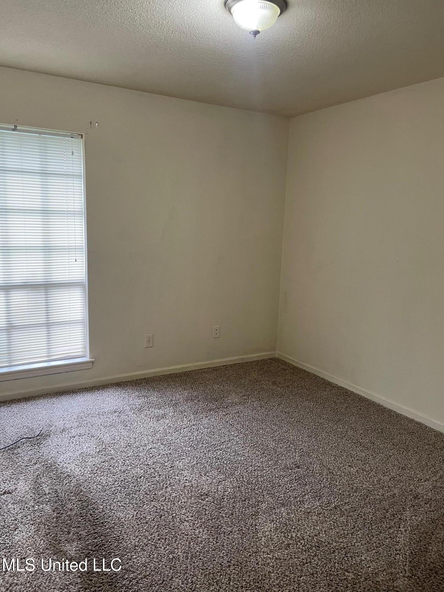 213 Hillbrook Drive, Southaven, Mississippi image 4