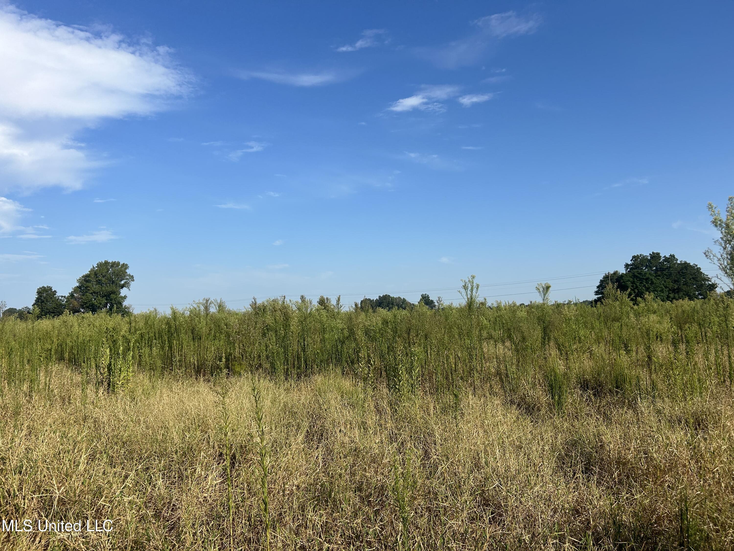 Highway 48, Indianola, Mississippi image 8