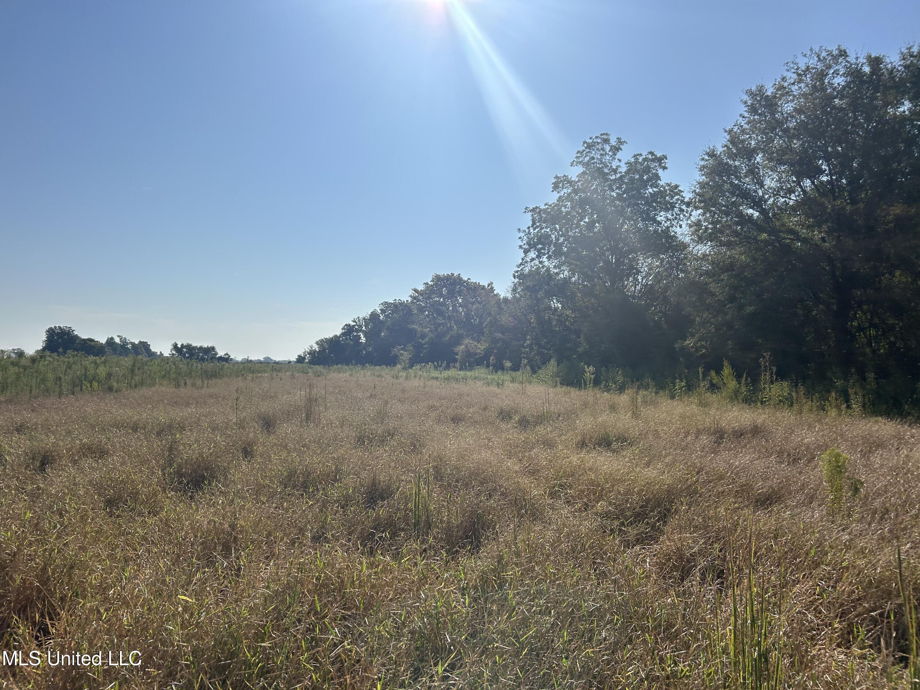 Highway 48, Indianola, Mississippi image 9