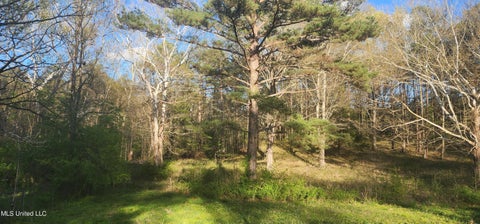 Vacant Land For Sale - Ms-471<br/> Brandon, MS 39047