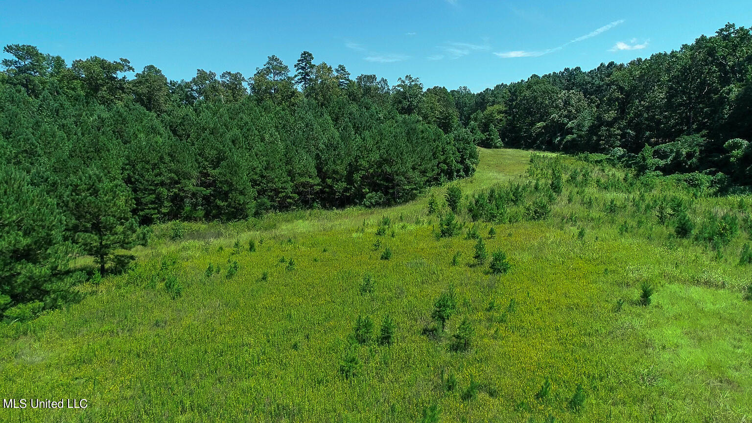 144 Gum Branch To Hwy 25 Road, Louisville, Mississippi image 42