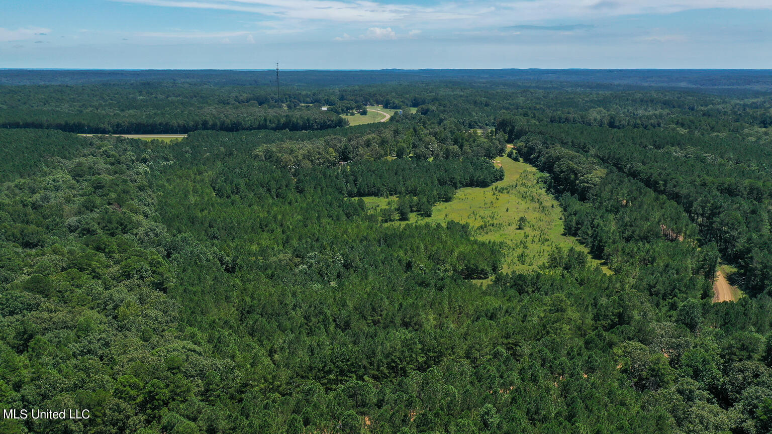 144 Gum Branch To Hwy 25 Road, Louisville, Mississippi image 27