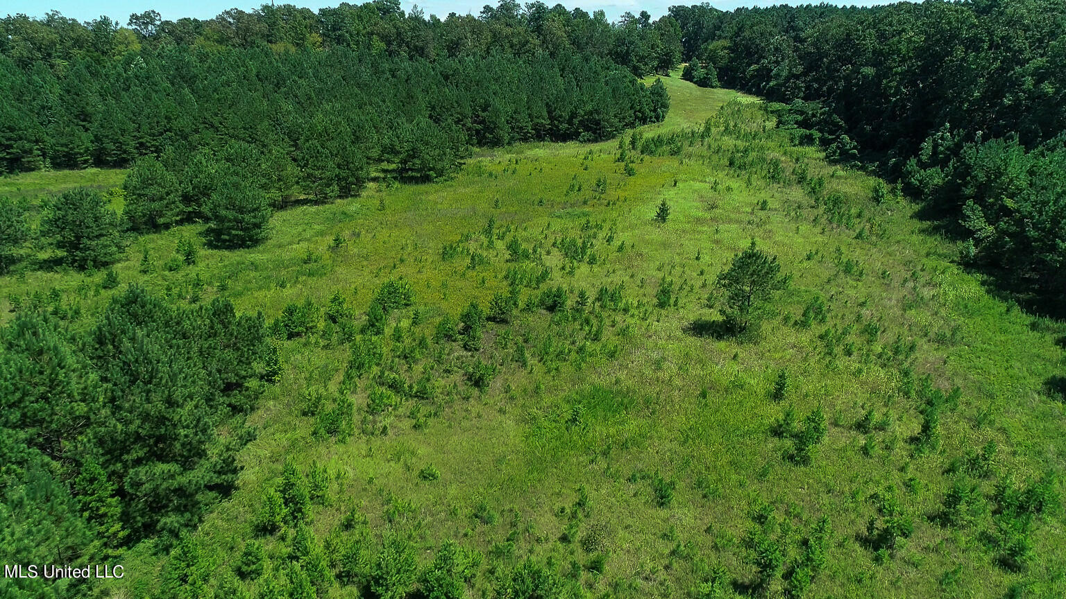 144 Gum Branch To Hwy 25 Road, Louisville, Mississippi image 41