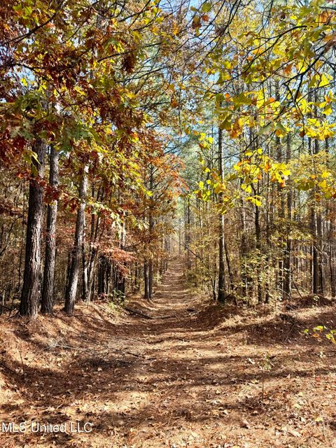 Vacant Land For Sale - Laws Hill Road<br/> Marshall County, Holly Springs, MS 38635