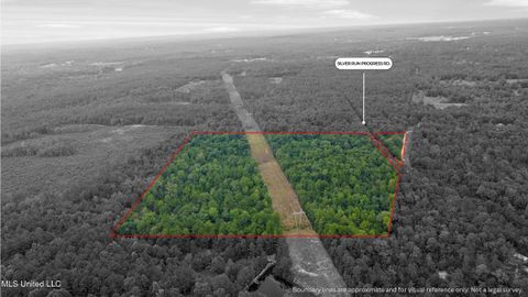 Vacant Land For Sale - Silver Run-progress Road<br/> Perkinston, MS 39573