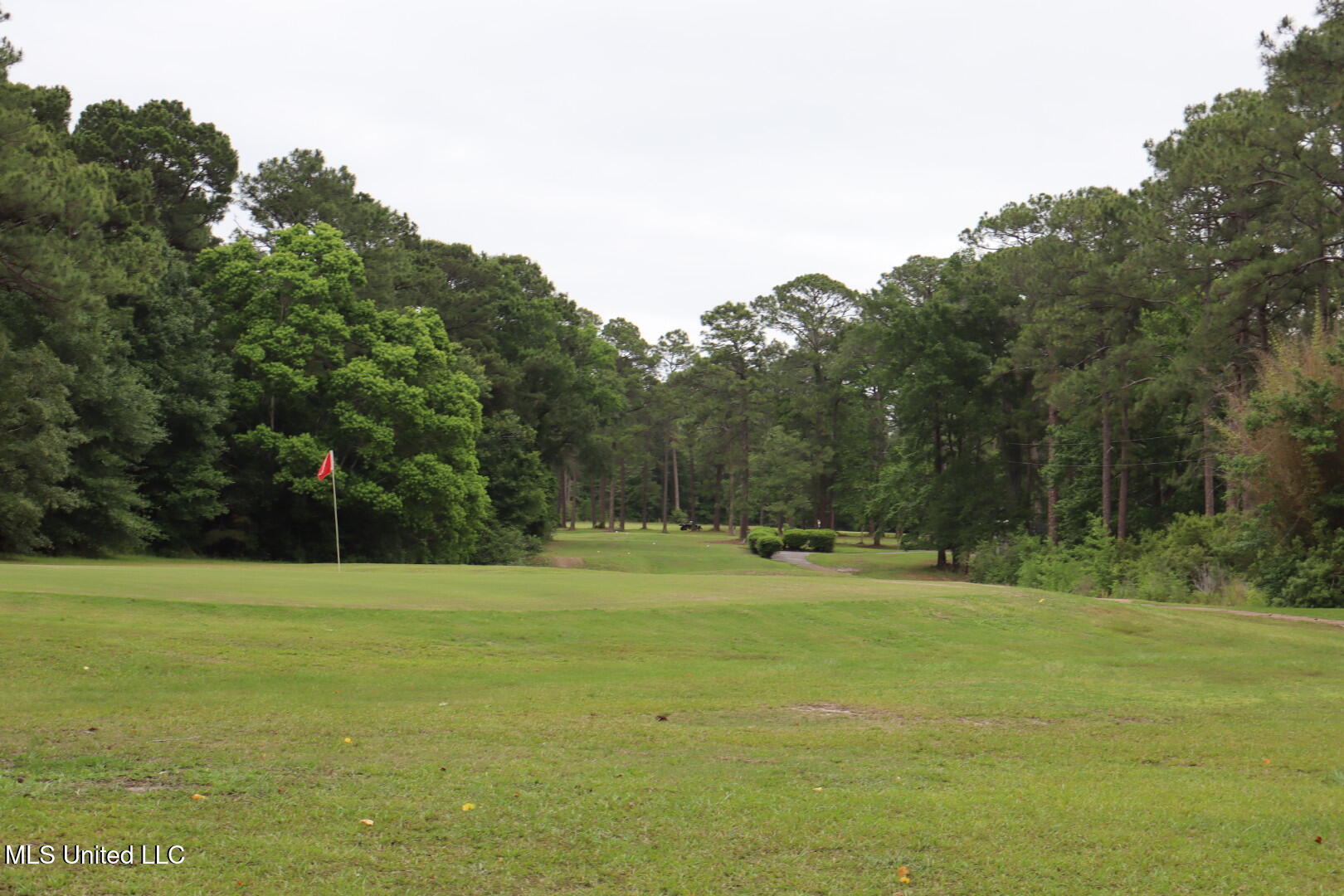 8316 Martin Bluff Road, Gautier, Mississippi image 11