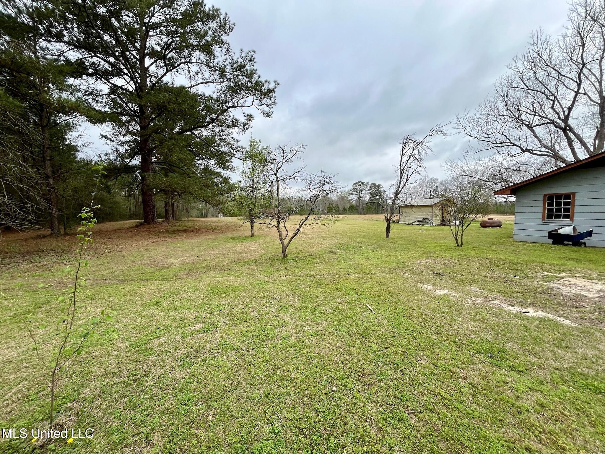 34 David Newell Road, Richton, Mississippi image 14