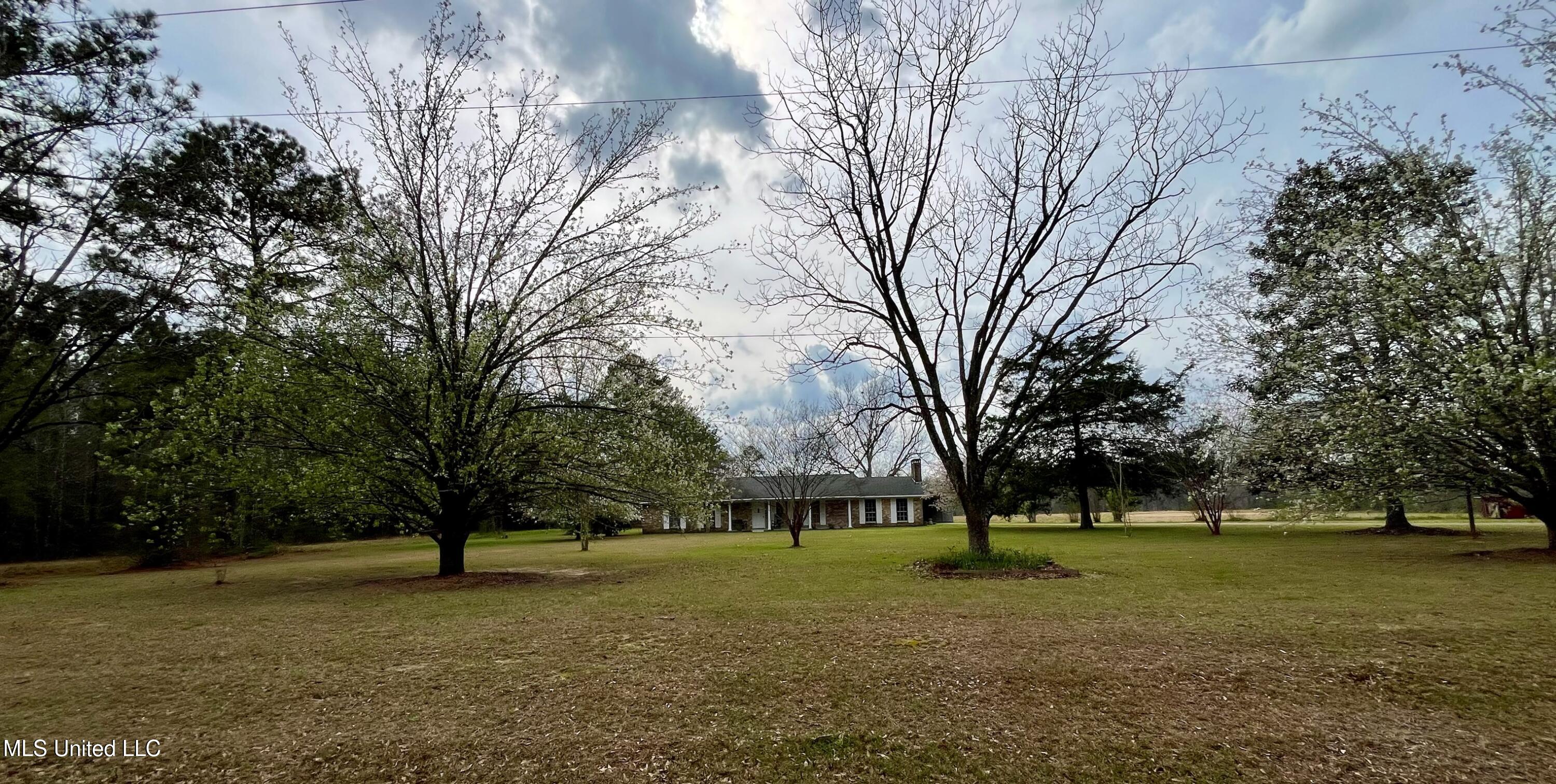 34 David Newell Road, Richton, Mississippi image 19