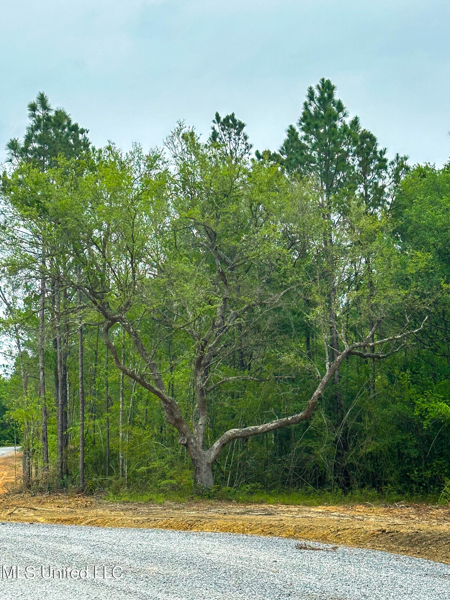 3900 Lazy Oaks Way, Kiln, Mississippi image 3