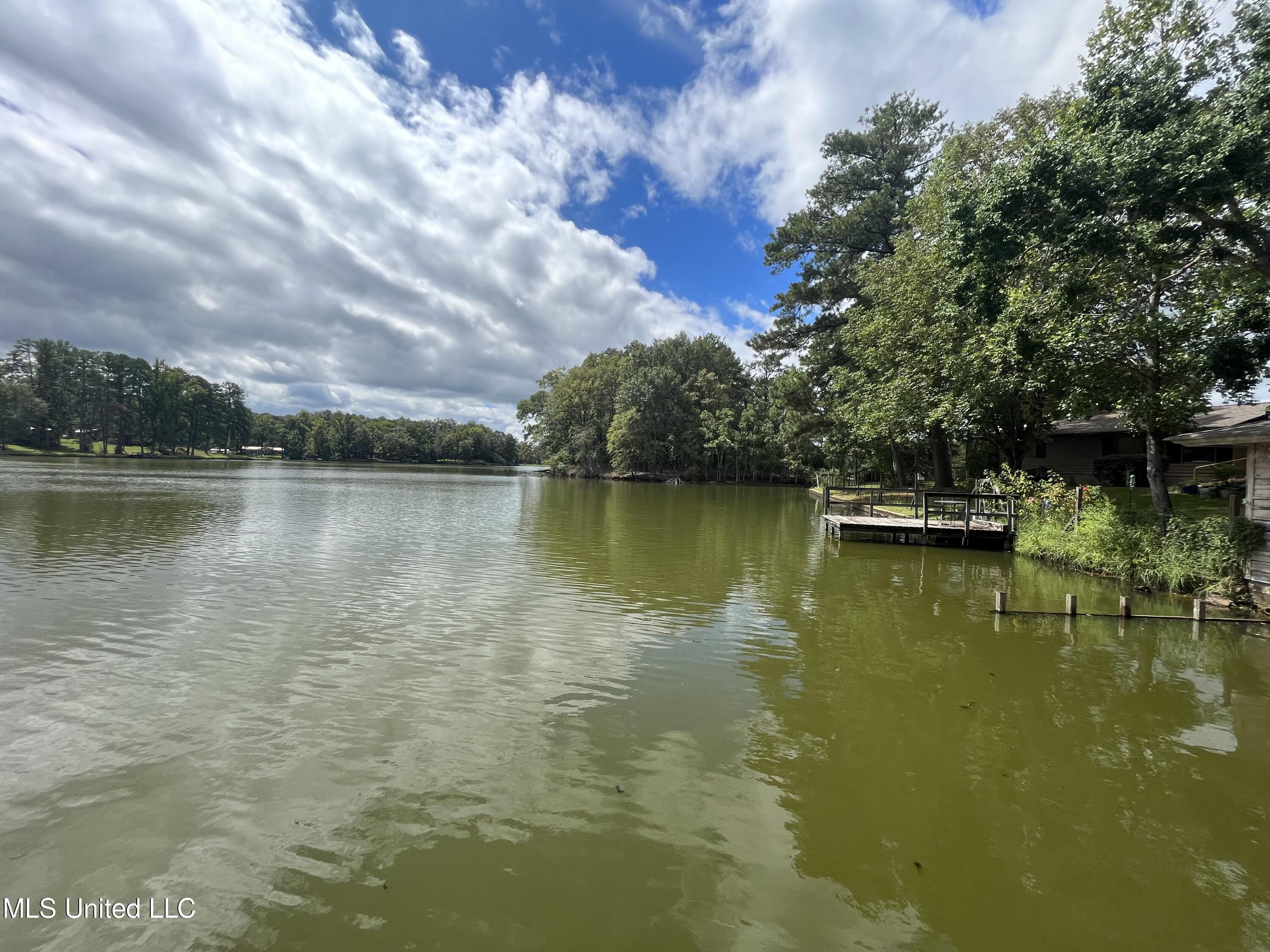 115 Lakeland Drive, Florence, Mississippi image 31