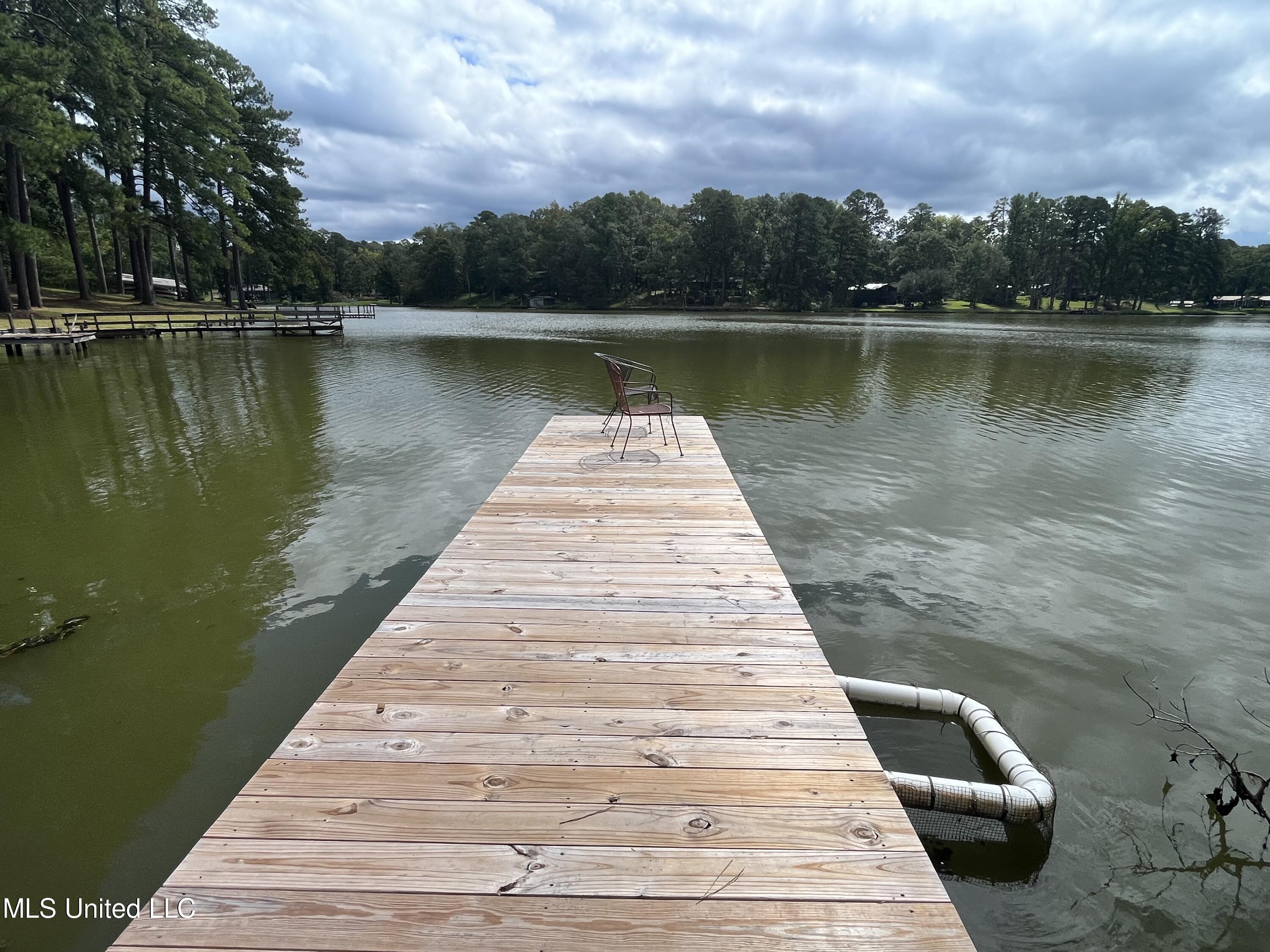 115 Lakeland Drive, Florence, Mississippi image 25