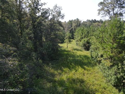 Vacant Land For Sale - 000 Davis Road<br/> Lamar County, Purvis, MS 39475