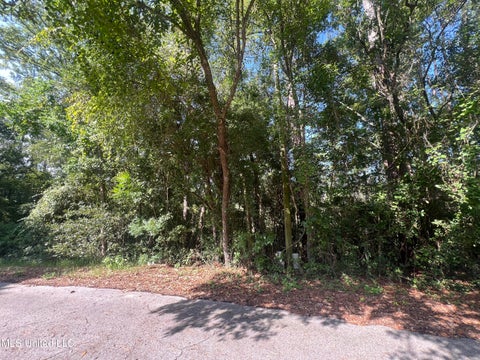 Vacant Land For Sale - Creek Drive<br/> Gulfport, MS 39503