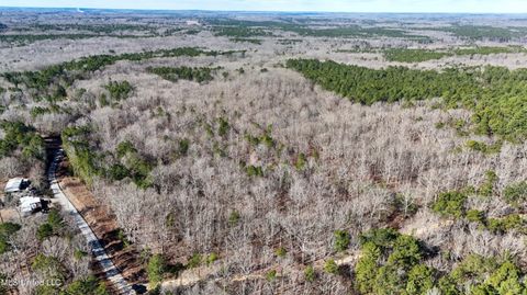 Vacant Land For Sale - Tall Pines Road<br/> Ashland, MS 38603