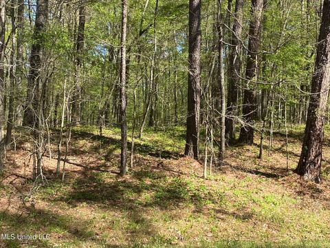 Vacant Land For Sale - 0000 W Adams Station Road<br/> Edwards, MS 39066