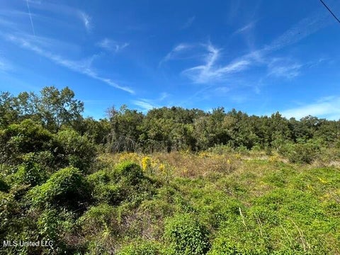 Vacant Land For Sale - LOT 3 Hope Lane<br/> Pass Christian, MS 39571