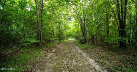 Vacant Land For Sale - Holly Grove-meeks Road<br/> Cruger, MS 38924