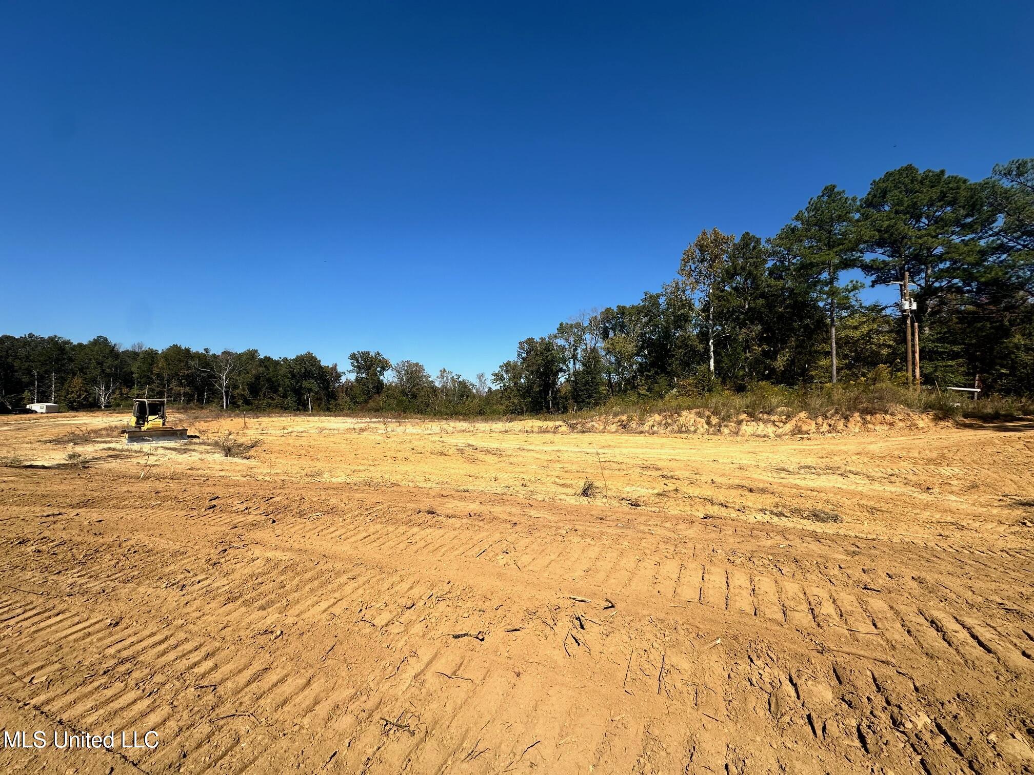 Highway 16 East Highway, Canton, Mississippi image 6