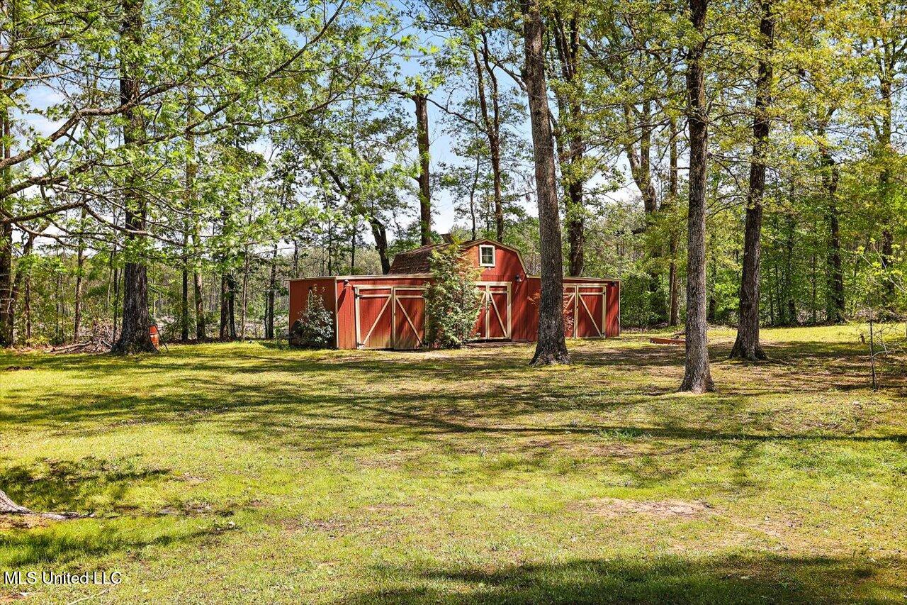 2765 Highway 483, Morton, Mississippi image 12