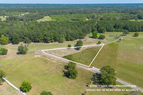 Vacant Land For Sale - Club Dr.<br/> Collins, MS 39428