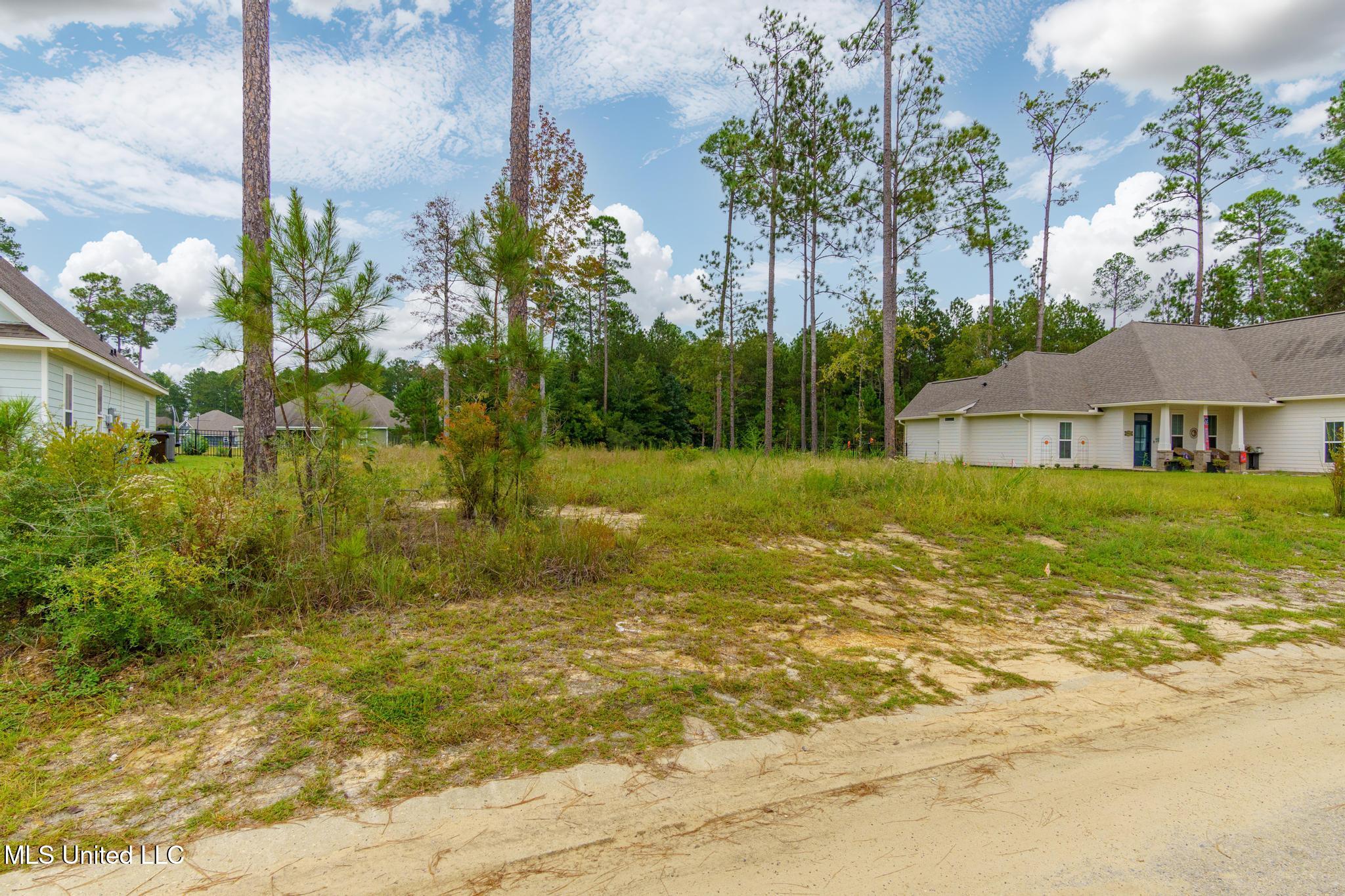 Lot 98 S Founders Way, Hattiesburg, Mississippi image 7