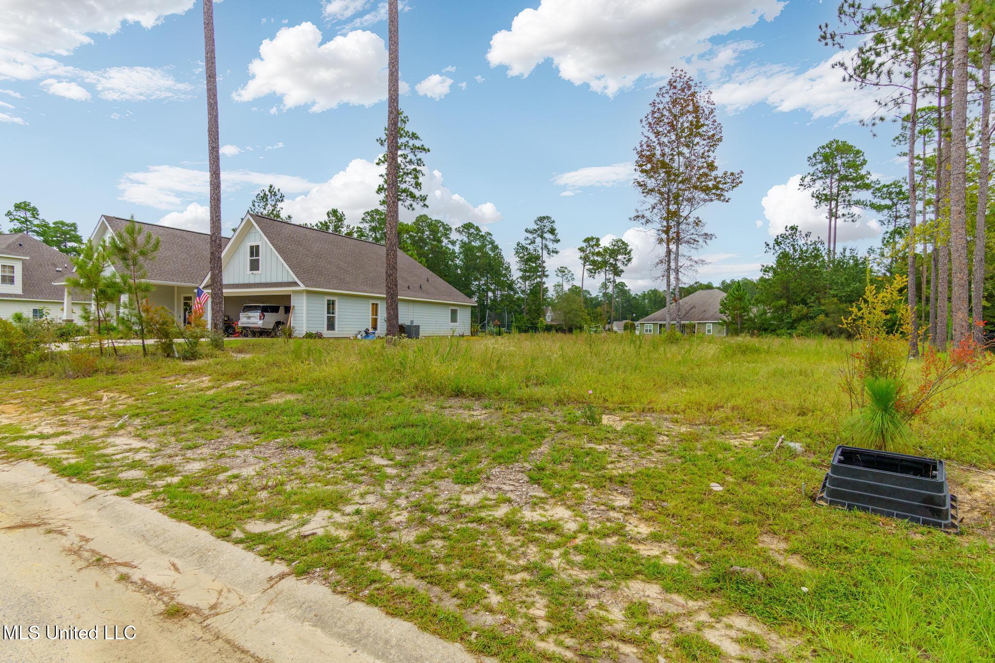 Lot 98 S Founders Way, Hattiesburg, Mississippi image 6