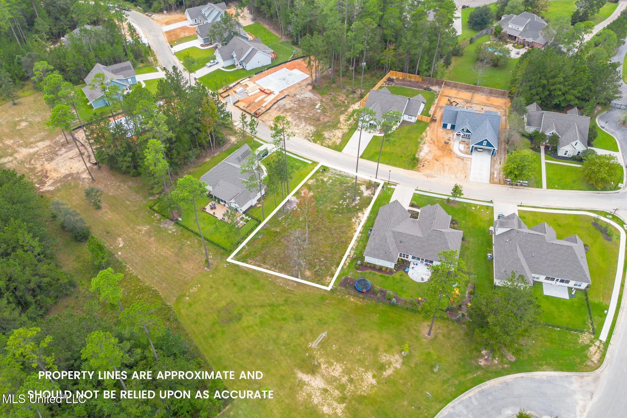 Lot 98 S Founders Way, Hattiesburg, Mississippi image 4