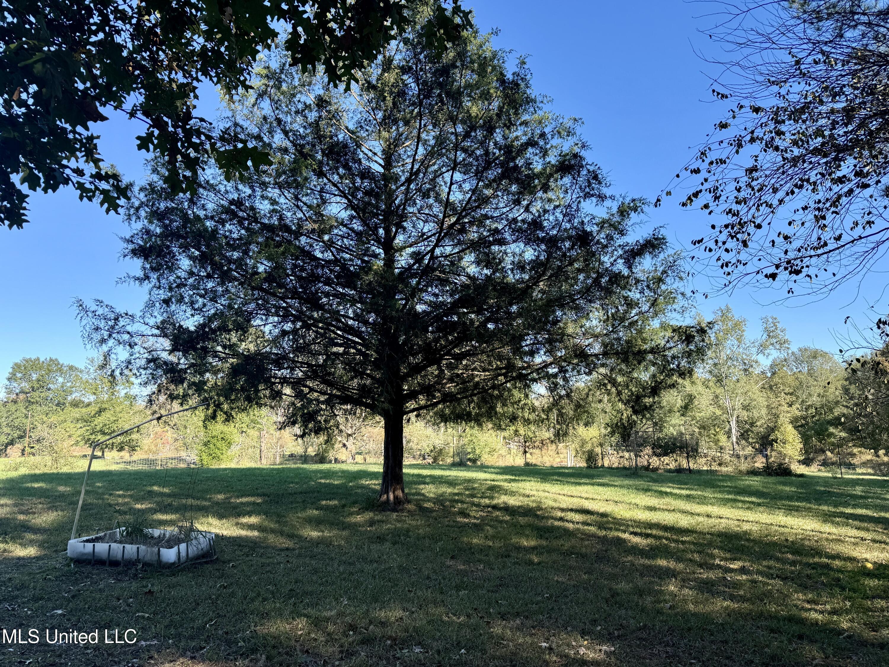 1885 Silver Creek Road, Crosby, Mississippi image 15