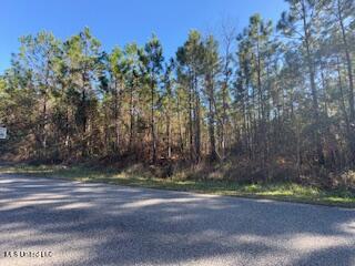 Allen Road, Long Beach, Mississippi image 1