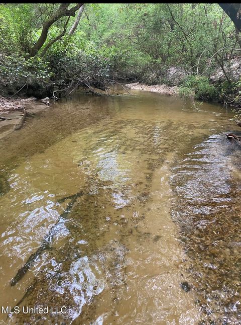 Vacant Land For Sale - 10.35 Ac Barton Agricola Road<br/> George County, Lucedale, MS 39452