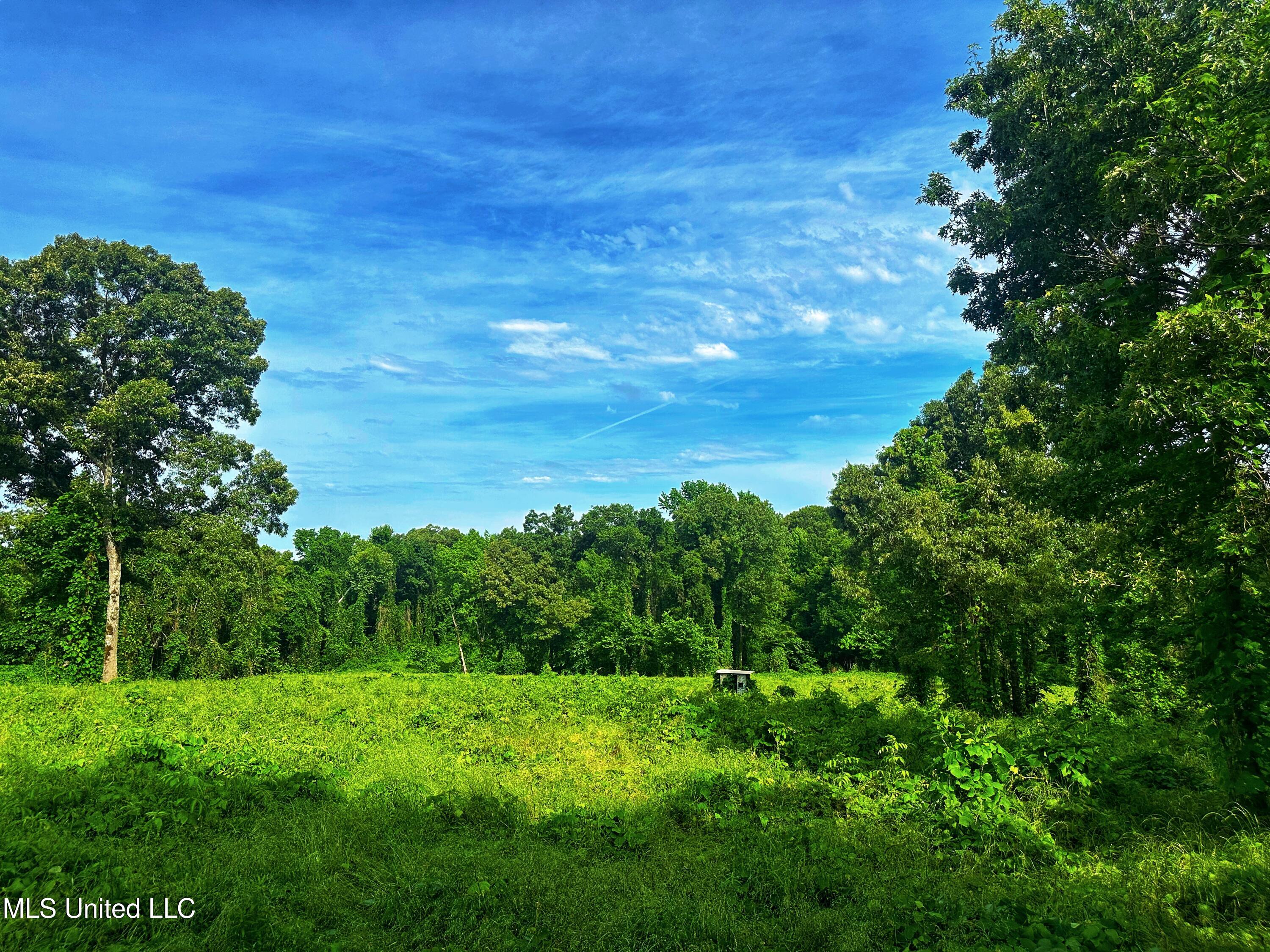 Marshall Road, Cruger, Mississippi image 14