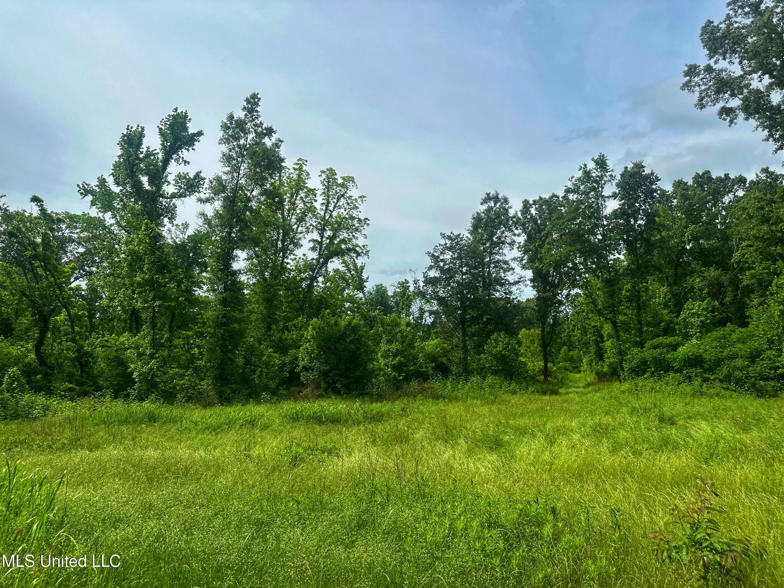 Marshall Road, Cruger, Mississippi image 20