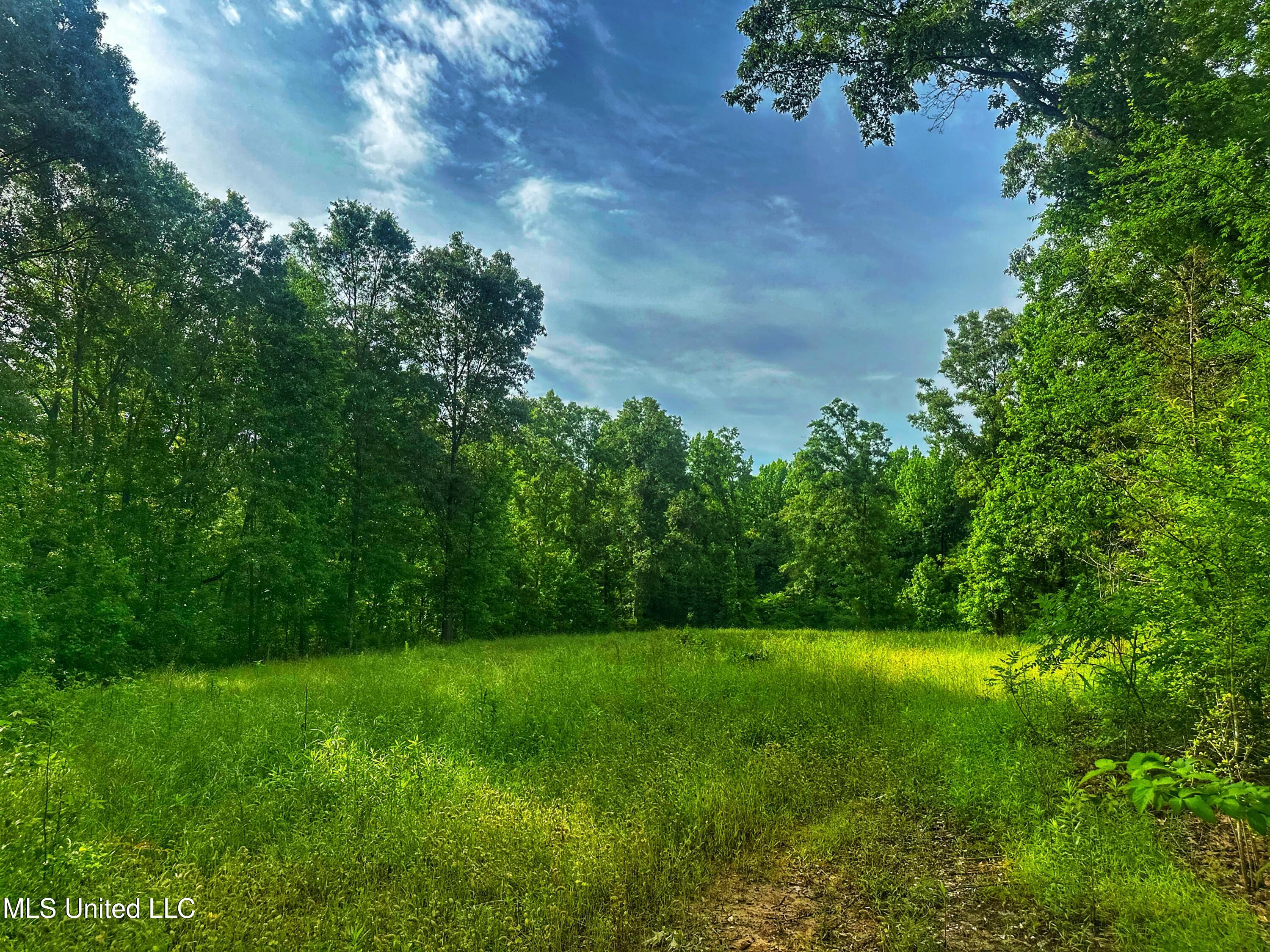 Marshall Road, Cruger, Mississippi image 4