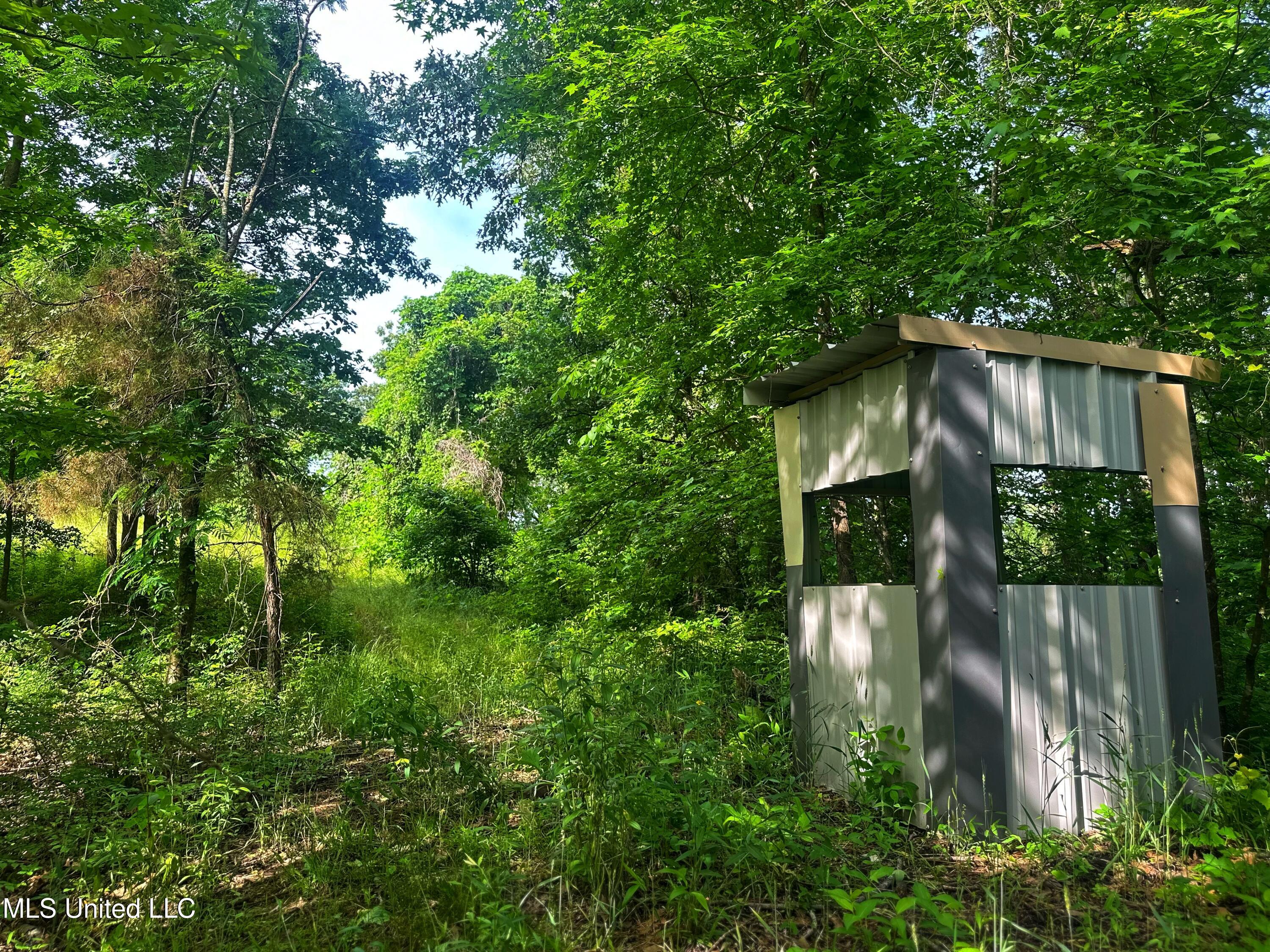 Marshall Road, Cruger, Mississippi image 11