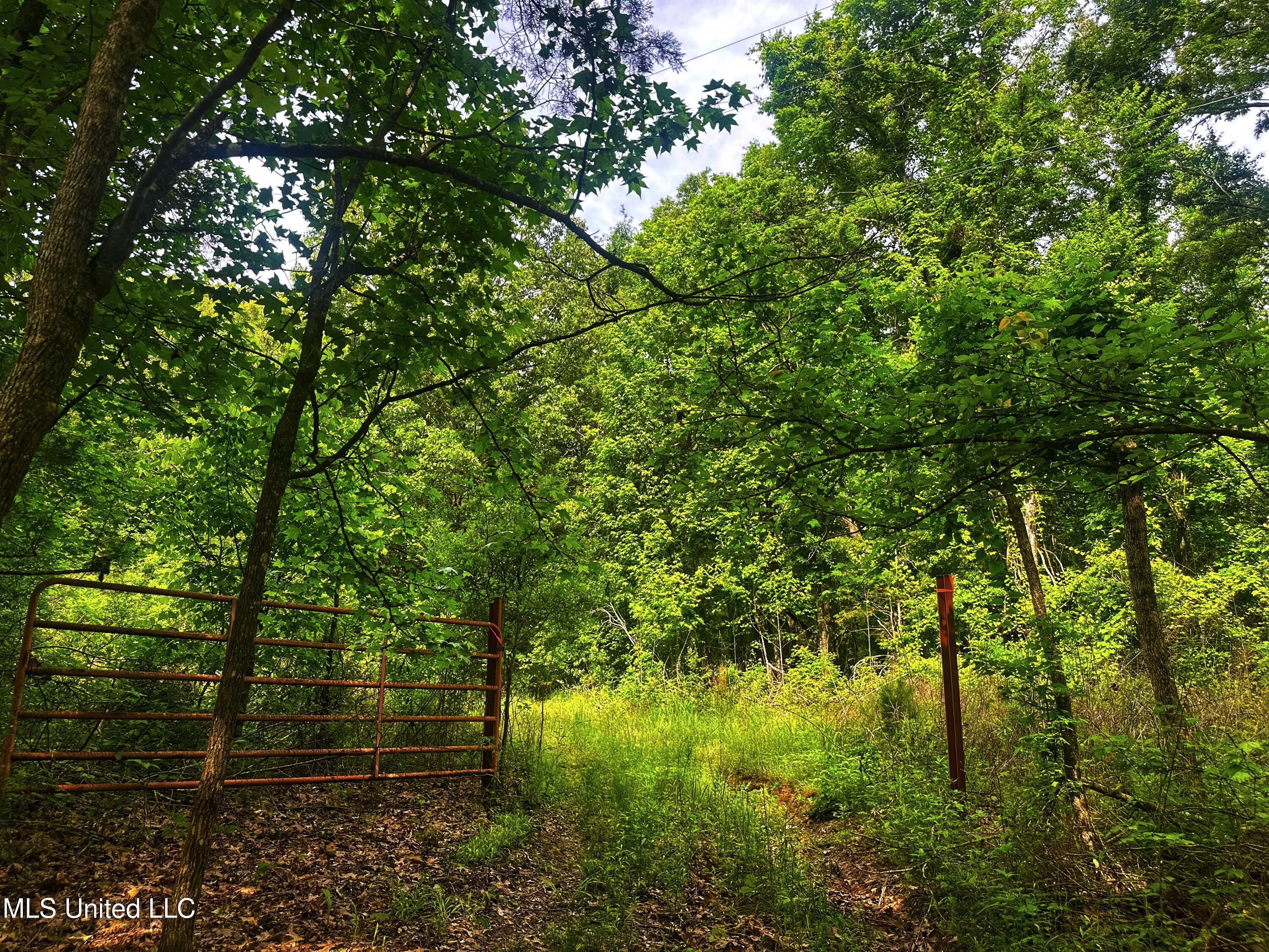 Marshall Road, Cruger, Mississippi image 21