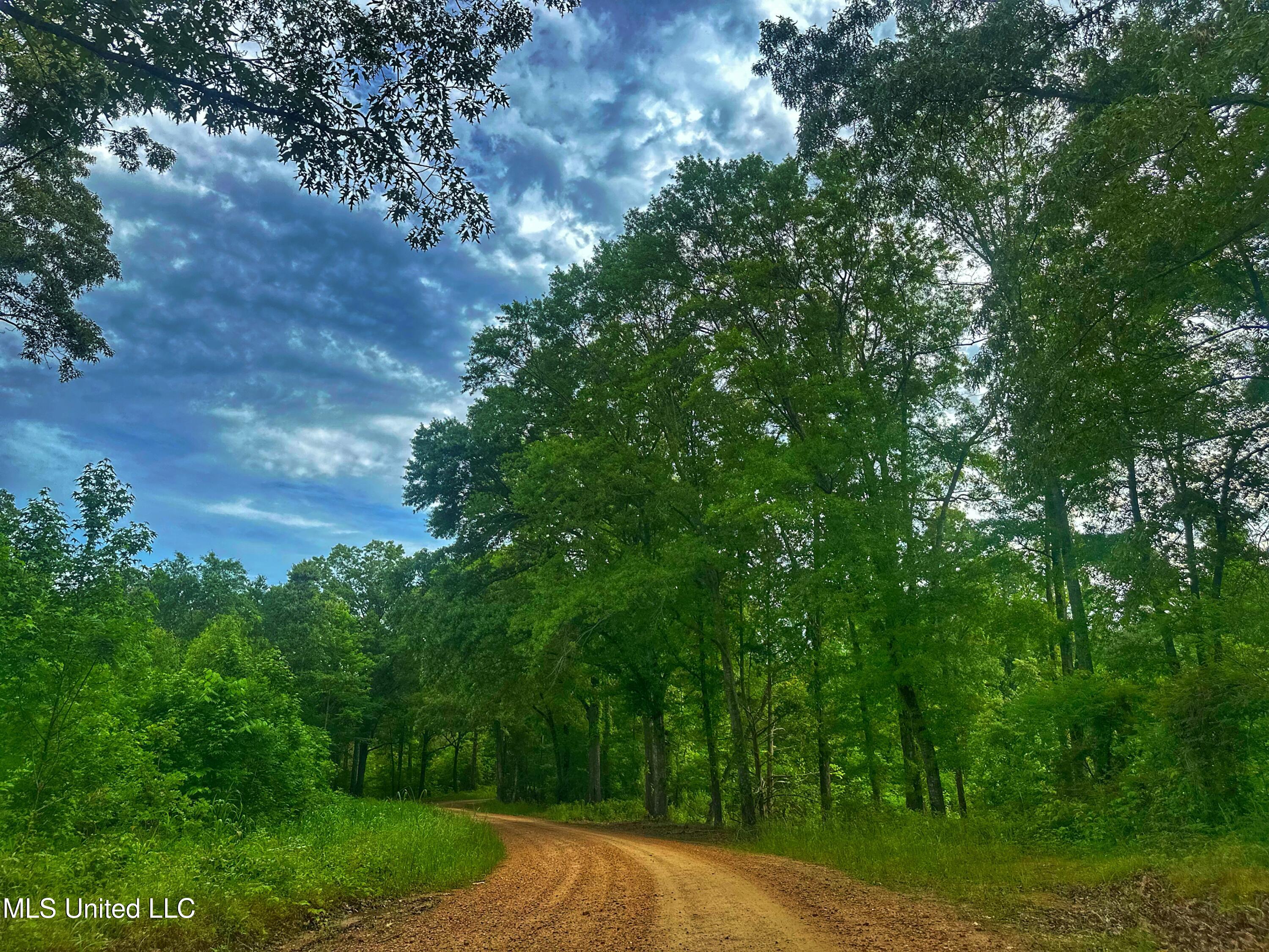 Marshall Road, Cruger, Mississippi image 2