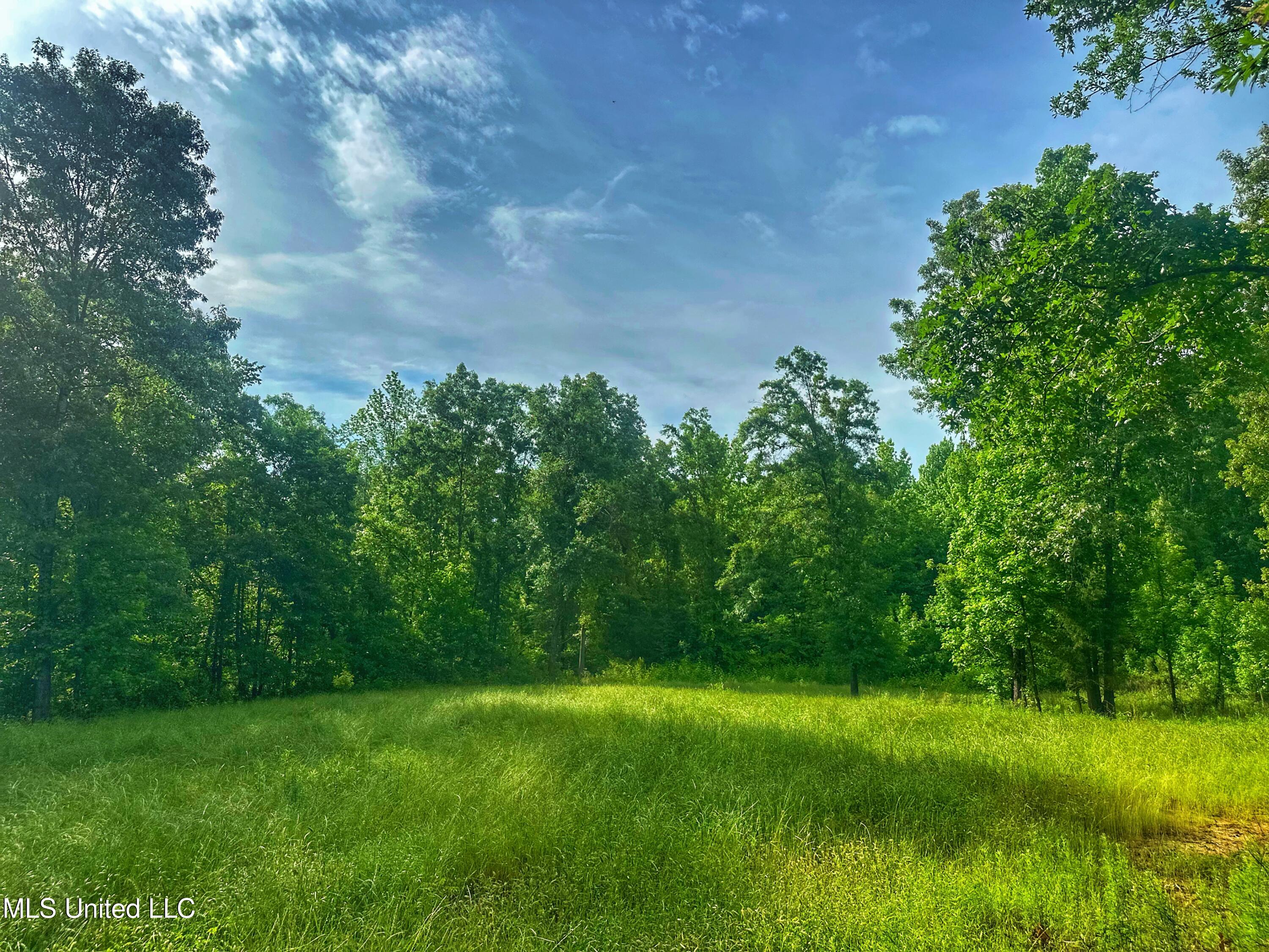 Marshall Road, Cruger, Mississippi image 6