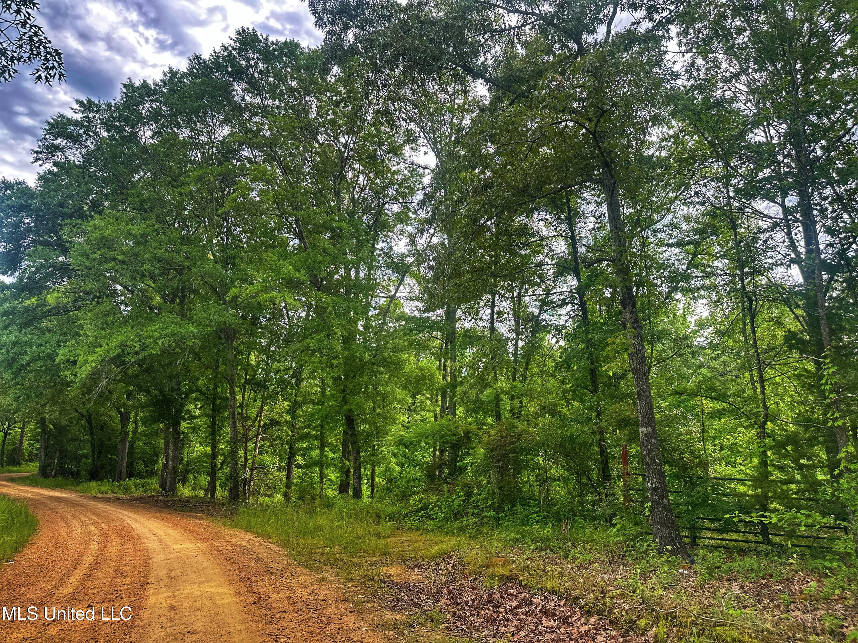 Marshall Road, Cruger, Mississippi image 1
